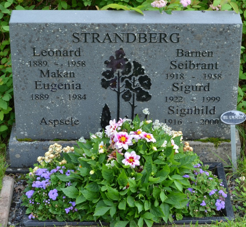 gravstenar_bjorna_bjo_strandberg_leonard.jpg