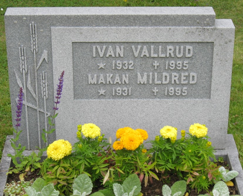 gravstenar_bredtrask_bre_ivan_vallrud.jpg