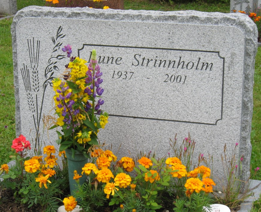 gravstenar_bredtrask_bre_rune_strinnholm.jpg