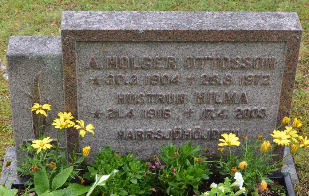 gravstenar_dorotea-risbaumlck_ris_a._holger_ottosson.jpg