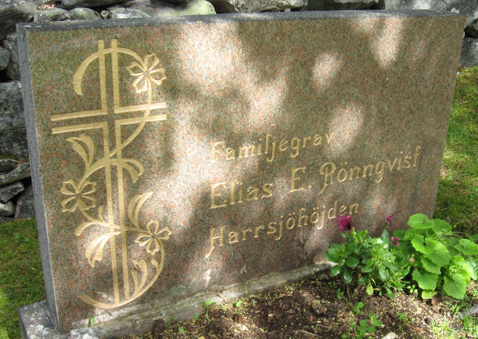 gravstenar_dorotea-risbaumlck_ris_elias_e_roumlnnqvist.jpg