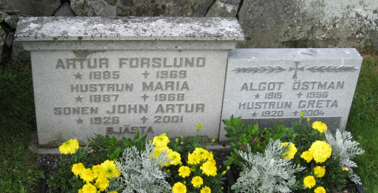 gravstenar_naumltra_nat_artur_forslund_o_algot_oumlstman.jpg