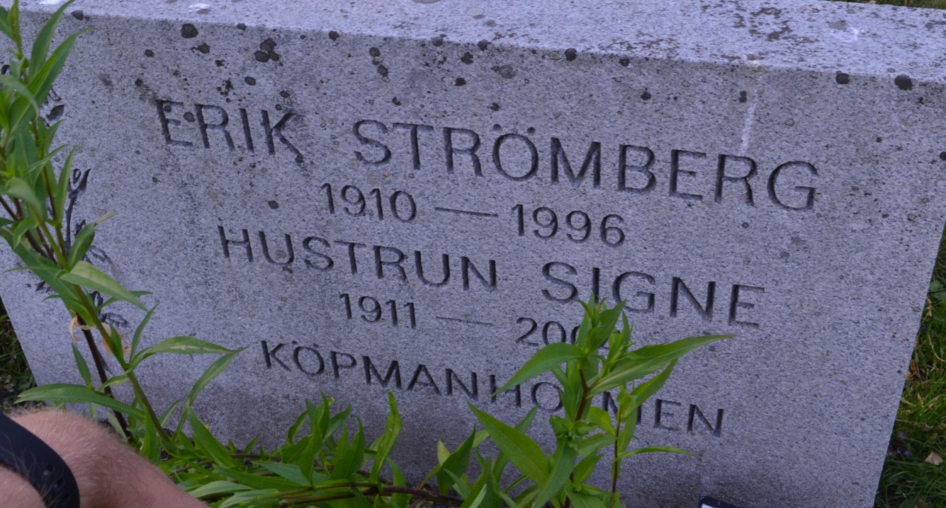 gravstenar_naumltra_nat_erik_stroumlmberg2.jpg