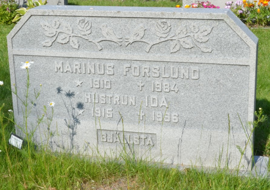 gravstenar_naumltra_nat_marinus_forslund.jpg