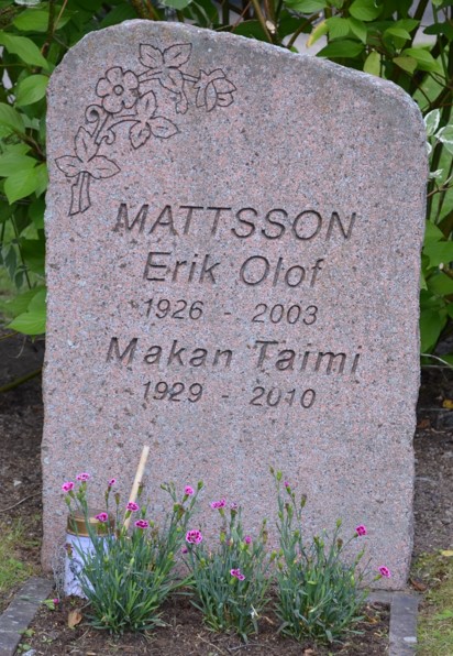 gravstenar_oumlrnskoumlldsvik_oumlrn_e_o_mattsson.jpg