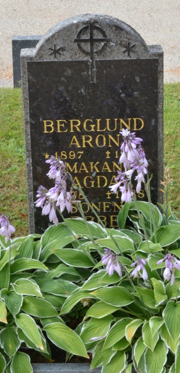 gravstenar_sidensjouml_sid_aron_berglund.jpg