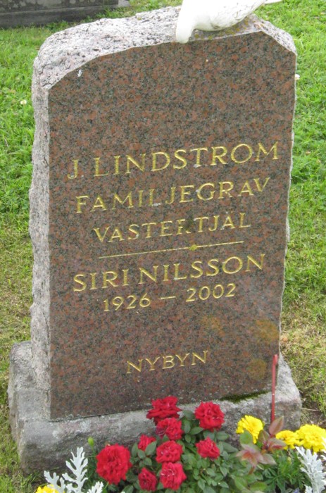 gravstenar_sidensjouml_sid_j_lindstroumlm.jpg