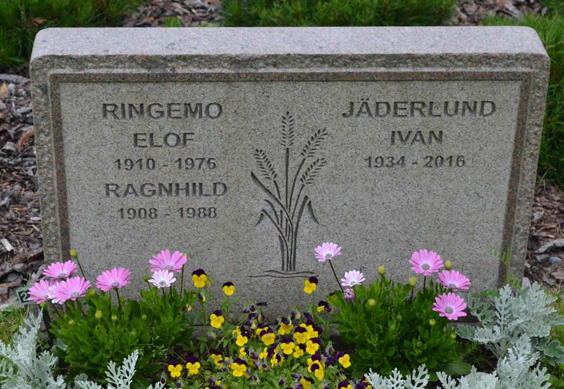 gravstenar_umearing_-_norra_kyrkogaringrden_ume_e_r_rigemo.jpg